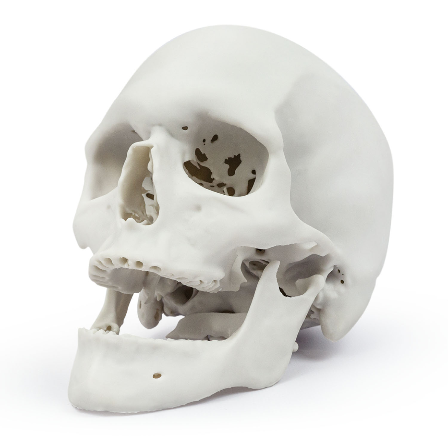 Пример печати изделий фотополимером HARZ Labs Demo Bone