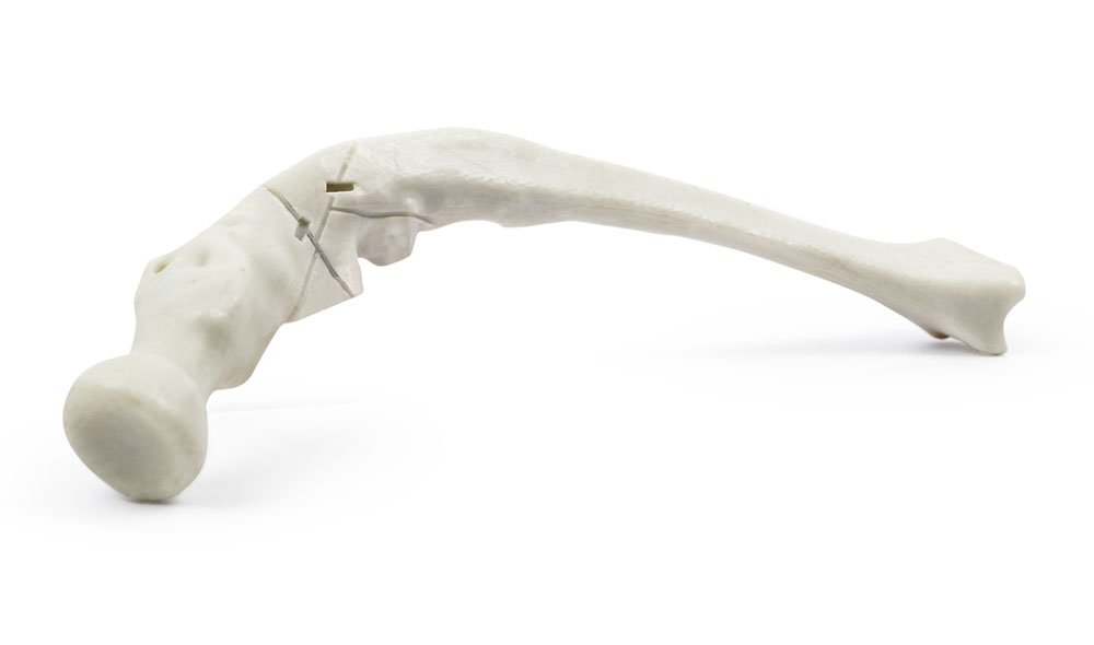 Пример печати изделий фотополимером HARZ Labs Demo Bone